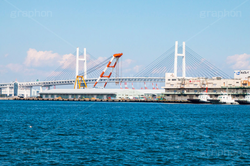 横浜港,港,横浜,よこはま,ヨコハマ,神奈川,海辺,公園,山下公園,象の鼻パーク,park,sea,横浜ベイブリッジ,橋