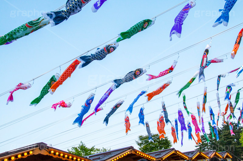 スカイツリータウンの鯉のぼり,こいのぼり,鯉のぼり,5月5日,端午,節句,こどもの日,子供の日,こども,子供,男の子,スカイツリー,スカイツリータウン,skytree,event,kids,japan,和,文化,風習,行事,634匹,埼玉県,加須市,墨田区,押上,フェスティバル,festival,tower,タワー,solamachi,なびく
