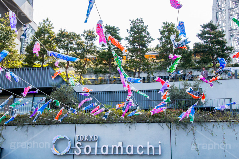 スカイツリータウンの鯉のぼり,こいのぼり,鯉のぼり,5月5日,端午,節句,こどもの日,子供の日,こども,子供,男の子,スカイツリー,スカイツリータウン,skytree,event,kids,japan,和,文化,風習,行事,634匹,埼玉県,加須市,墨田区,押上,フェスティバル,festival,tower,タワー,solamachi,なびく
