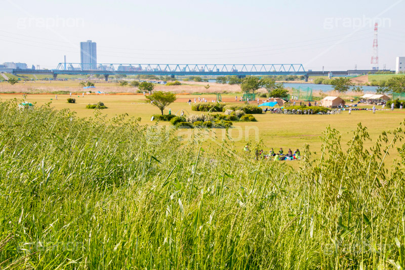 江戸川河川敷,江戸川,河川,河川敷,グラウンド,スポーツ,一級河川,歩道,散歩,ハイキング,ウォーキング,ランニング,hiking,walking,sports,running,ground,草むら,雑草,葛飾区,江戸川区