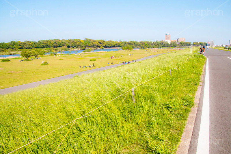 江戸川河川敷,江戸川,河川,河川敷,グラウンド,スポーツ,一級河川,歩道,散歩,ハイキング,ウォーキング,ランニング,hiking,walking,sports,running,ground,草むら,雑草,葛飾区,江戸川区,青空