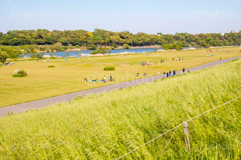 江戸川河川敷,江戸川,河川,河川敷,グラウンド,スポーツ,一級河川,歩道,散歩,ハイキング,ウォーキング,ランニング,hiking,walking,sports,running,ground,草むら,雑草,葛飾区,江戸川区