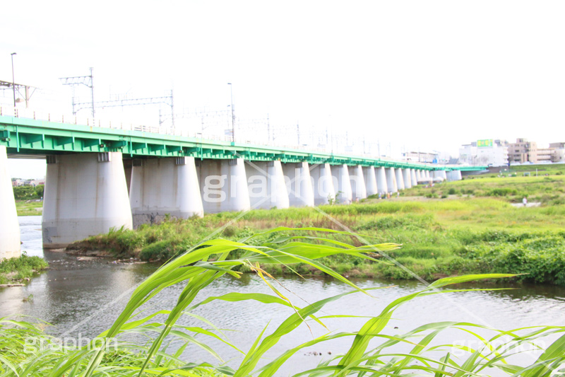 河川敷,電車,田園都市線,二子玉,二子玉川,玉川,にこたま,ニコタマ,世田谷区,川,河原,かわ,橋,河川,大井町線,大井町,電車/鉄道,多摩川,train