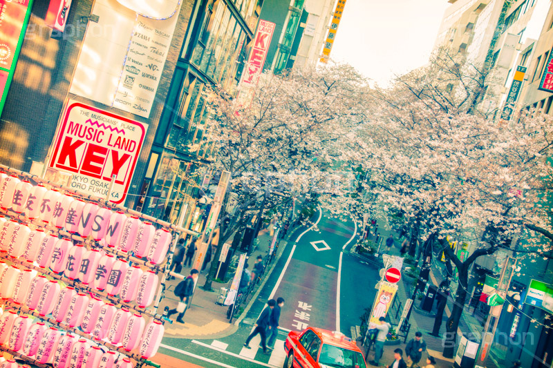 渋谷さくら通り,トイカメラ撮影,トイカメラ,ヴィンテージ,ビンテージ,レトロ,お洒落,おしゃれ,オシャレ,味わい,トンネル効果
