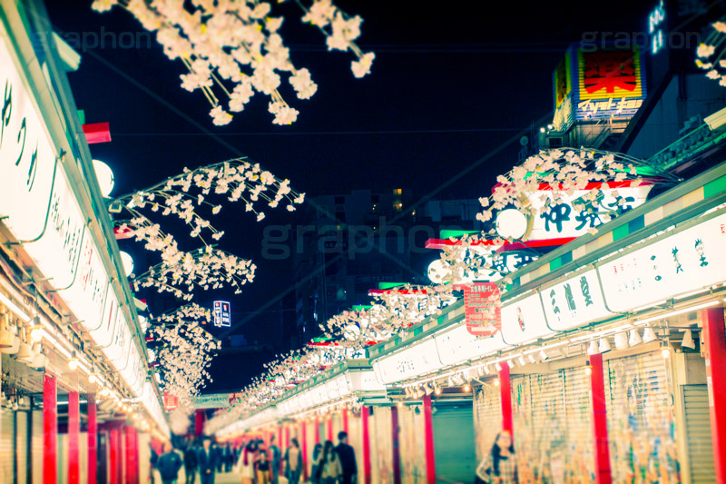 夜の浅草寺,トイカメラ撮影,トイカメラ,ヴィンテージ,ビンテージ,レトロ,お洒落,おしゃれ,オシャレ,味わい,トンネル効果