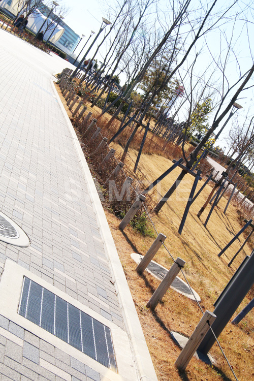 公園,こうえん,緑道,冬,並木,散歩,さんぽ,枯れ木,パーク,park