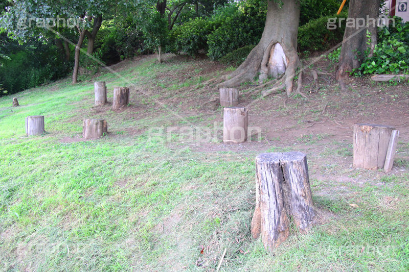 公園,こうえん,休憩,切り株,きりかぶ,椅子,散歩,さんぽ,パーク,park