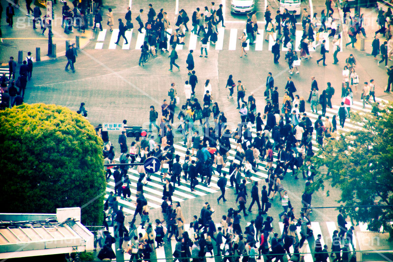 渋谷の街並み,トイカメラ撮影,トイカメラ,ヴィンテージ,ビンテージ,レトロ,お洒落,おしゃれ,オシャレ,味わい,トンネル効果