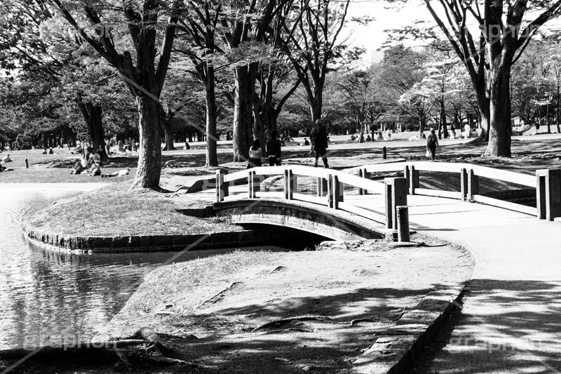 代々木公園,モノクロ,白黒,しろくろ,モノクローム,単色画,単彩画,単色