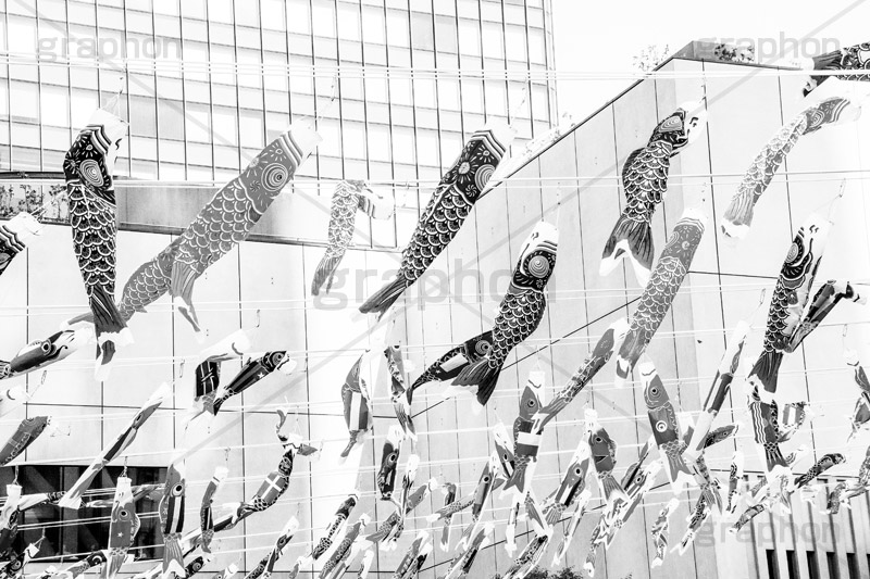 スカイツリーのこいのぼり,モノクロ,白黒,しろくろ,モノクローム,単色画,単彩画,単色