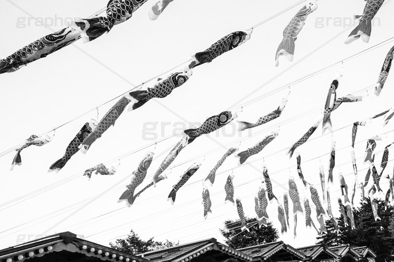 スカイツリーのこいのぼり,モノクロ,白黒,しろくろ,モノクローム,単色画,単彩画,単色