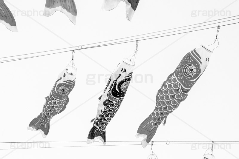 スカイツリーのこいのぼり,モノクロ,白黒,しろくろ,モノクローム,単色画,単彩画,単色