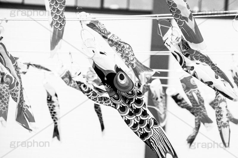 スカイツリーのこいのぼり,モノクロ,白黒,しろくろ,モノクローム,単色画,単彩画,単色
