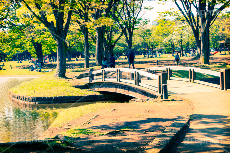 代々木公園,トイカメラ撮影,トイカメラ,ヴィンテージ,ビンテージ,レトロ,お洒落,おしゃれ,オシャレ,味わい,トンネル効果