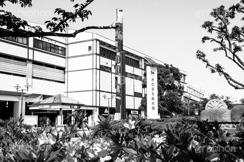新木場駅,モノクロ,白黒,しろくろ,モノクローム,単色画,単彩画,単色