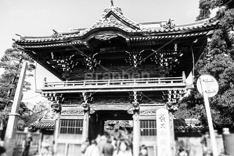 柴又の風景,モノクロ,白黒,しろくろ,モノクローム,単色画,単彩画,単色