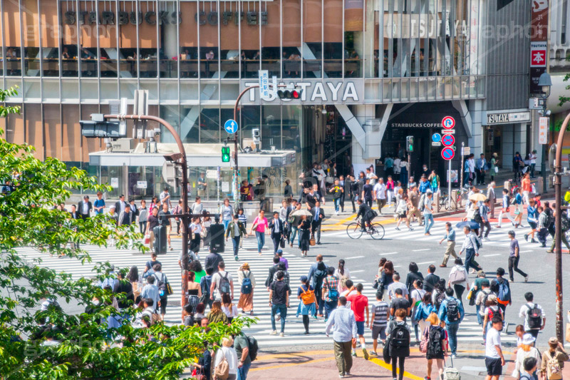 渋谷の雑踏,渋谷スクランブル交差点,渋谷,しぶや,観光,交差点,渋谷駅,駅前,スクランブル,外国人,海外,道玄坂,横断歩道,信号,雑踏,混む,雑踏,都会の雑踏,人混み,人々,渡る,歩く,japan,shibuya
