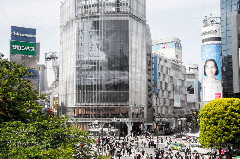 渋谷の雑踏,渋谷スクランブル交差点,渋谷,しぶや,観光,交差点,渋谷駅,駅前,スクランブル,外国人,海外,道玄坂,横断歩道,信号,雑踏,混む,雑踏,都会の雑踏,人混み,人々,渡る,歩く,japan,shibuya