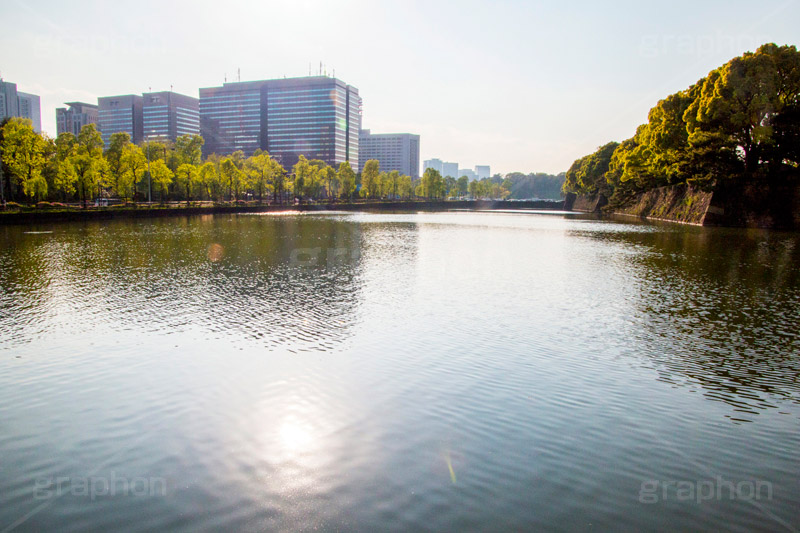 皇居のお堀,皇居,池,堀,お堀,内堀,溜池,天皇,宮殿,東京,千代田区,大手町,桜田門,重要文化財,japan,tokyo