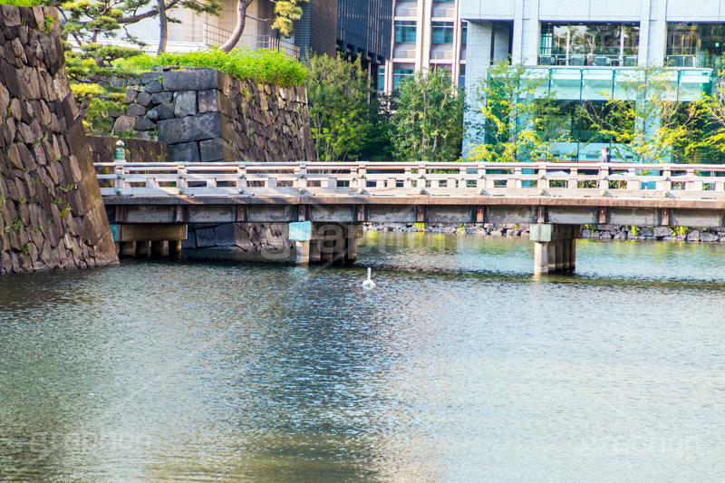 和田倉橋,橋,木の橋,木製,皇居,池,堀,お堀,内堀,溜池,天皇,宮殿,東京,千代田区,大手町,桜田門,重要文化財,japan,tokyo,swan,白鳥