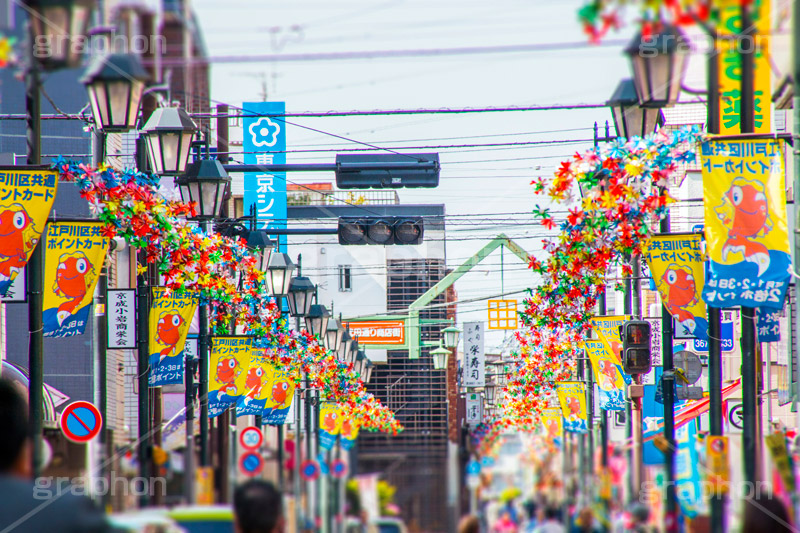 京成小岩商栄会,京成,小岩,京成小岩,商店街,店,買い物,ショッピング,shopping,江戸川区,下町