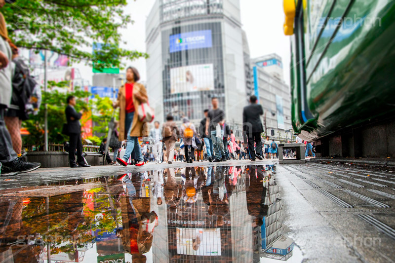 雨上がりの渋谷,雨,梅雨,水たまり,水溜り,渋谷駅前,渋谷スクランブル交差点,渋谷,しぶや,ハチ公,観光,交差点,渋谷駅,駅前,スクランブル,外国人,海外,道玄坂,横断歩道,信号,雑踏,都会の雑踏,japan,rain,shibuya