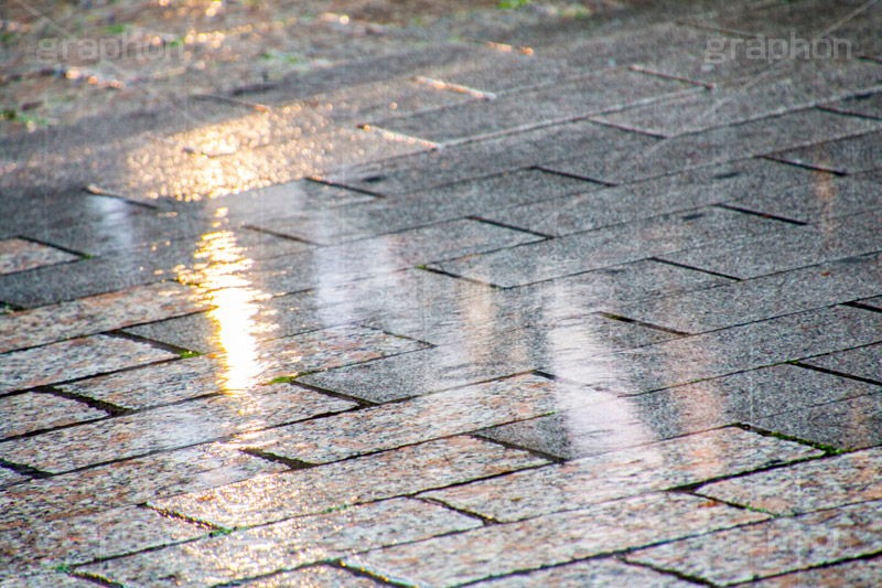 雨の日,雨,あめ,梅雨,つゆ,水滴,雨粒,小雨,rain,レイン,水溜り,水たまり