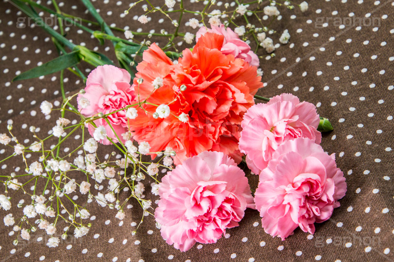 母への贈り物,贈り物,カーネーション,ナデシコ科,ナデシコ属,花,お花,春,フラワー,spring,flower,carnation,present,mother's day,花束,プレゼント,母の日,かすみ草,ありがとう,感謝,お礼,母,お母さん