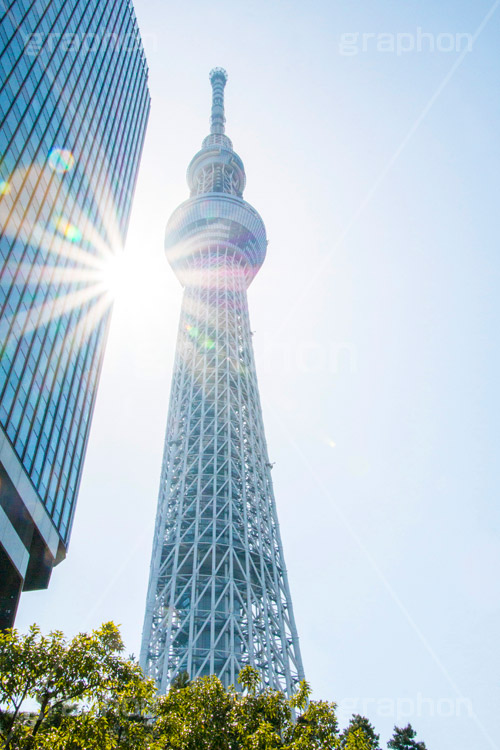 逆光スカイツリー,逆光,太陽,フレア,スカイツリー,東京スカイツリー,TOKYO SKYTREE,墨田区,押上,電波塔,634,634メートル,634m,塔,電線,真下,見上げ,flare,tower,タワー,青空
