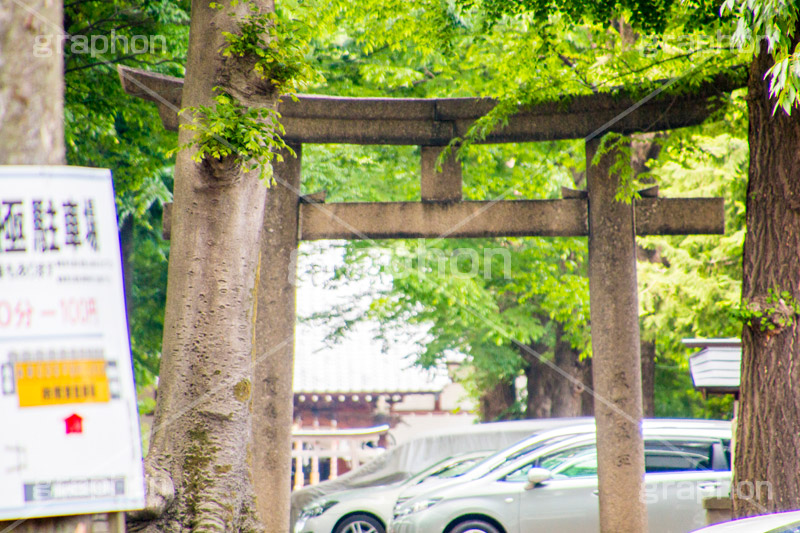 平塚神社,ひらつかじんじゃ,神社,参拝,お参り,北区,上中里,甲冑塚古墳,古墳,菅原神社,稲荷神社,石室神社,鳥居,japan