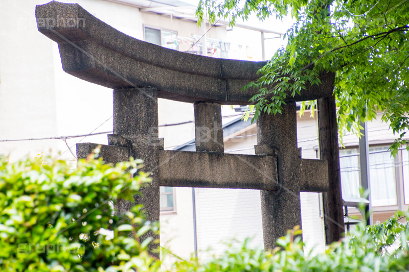 平塚神社,ひらつかじんじゃ,神社,参拝,お参り,北区,上中里,甲冑塚古墳,古墳,菅原神社,稲荷神社,石室神社,鳥居,japan