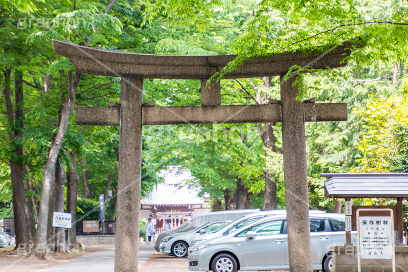 平塚神社,ひらつかじんじゃ,神社,参拝,お参り,北区,上中里,甲冑塚古墳,古墳,菅原神社,稲荷神社,石室神社,鳥居,japan