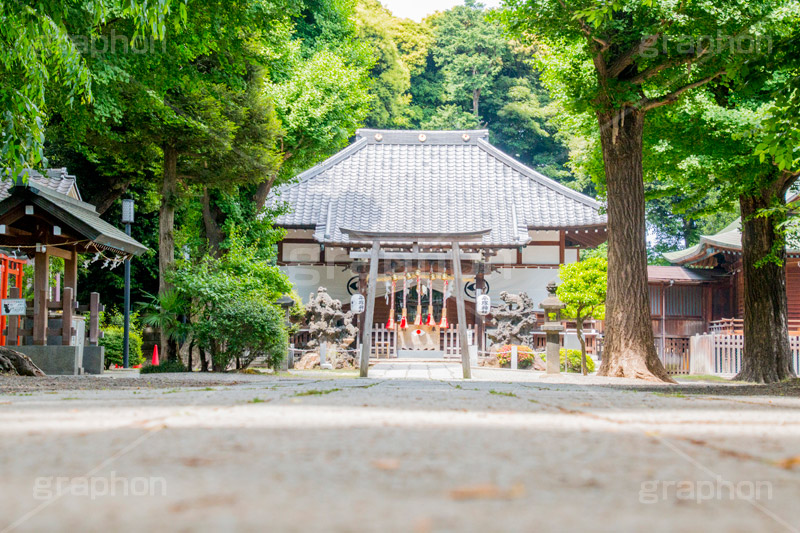 平塚神社,ひらつかじんじゃ,神社,参拝,お参り,北区,上中里,甲冑塚古墳,古墳,菅原神社,稲荷神社,石室神社,鳥居,石畳,japan