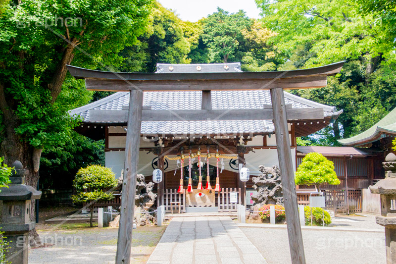 平塚神社,ひらつかじんじゃ,神社,参拝,お参り,北区,上中里,甲冑塚古墳,古墳,菅原神社,稲荷神社,石室神社,鳥居,石畳,japan