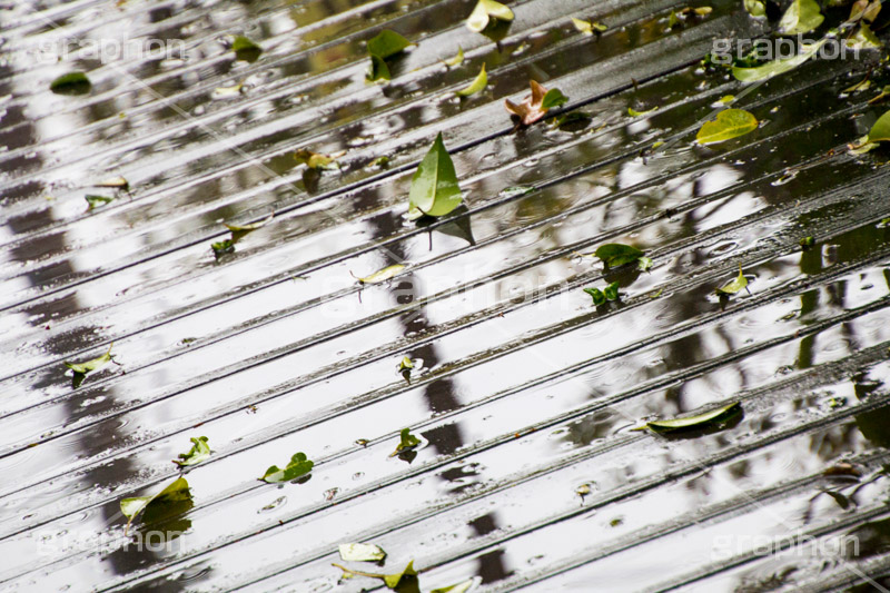 雨の日,地面,落ち葉,濡れ,雨,梅雨,つゆ,水溜り,水たまり,rain,雨粒,波紋,木目,床