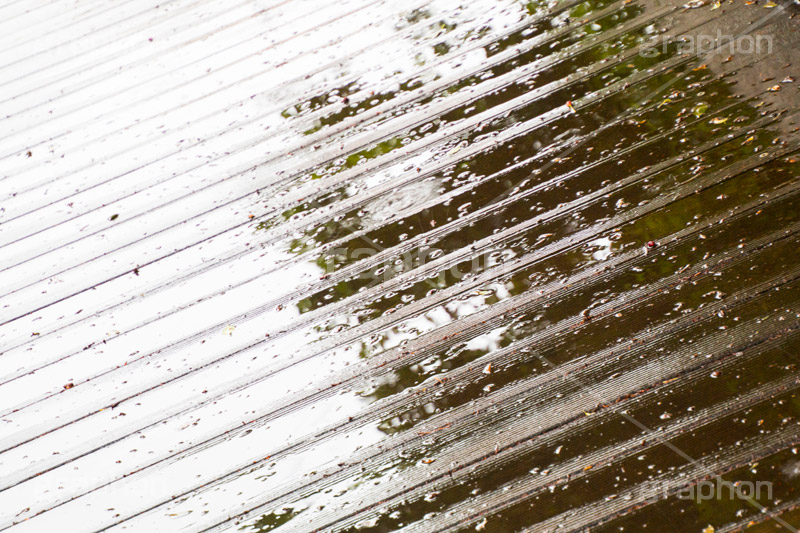 雨の日,地面,落ち葉,濡れ,雨,梅雨,つゆ,水溜り,水たまり,rain,雨粒,波紋,木目