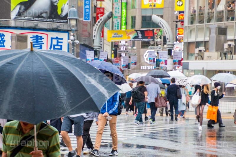 雨の日,雨,梅雨,交差点,信号,横断歩道,足元,傘,かさ,道路,アスファルト,rain,asphalt,水たまり,水溜まり,水しぶき,渋谷,スクランブル交差点,shibuya,japan