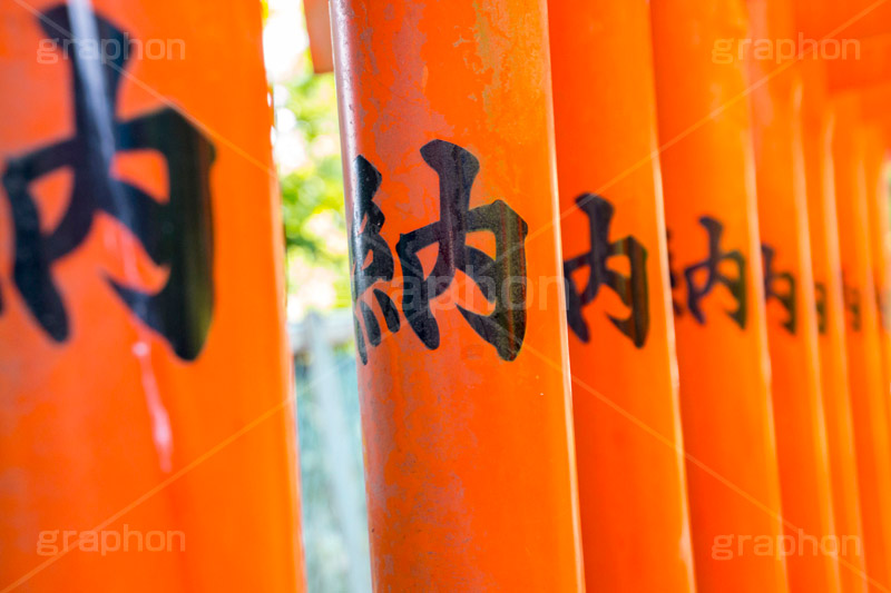 花園稲荷神社,はなぞのいなりじんじゃ,神社,参拝,お参り,上野,上野公園,台東区,五條天神社,鳥居,japan,上野恩賜公園