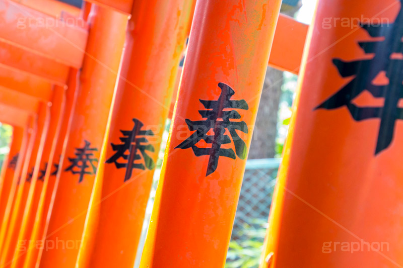 花園稲荷神社,はなぞのいなりじんじゃ,神社,参拝,お参り,上野,上野公園,台東区,五條天神社,鳥居,japan,上野恩賜公園