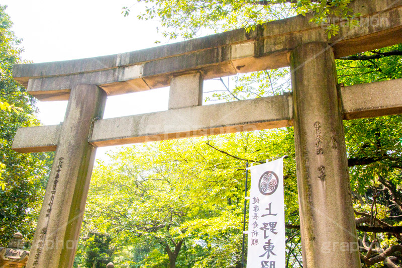 上野東照宮,うえのとうしょうぐう,台東区,上野恩賜公園,上野公園,神社,参拝,お参り,東照宮,文化財,japan,鳥居