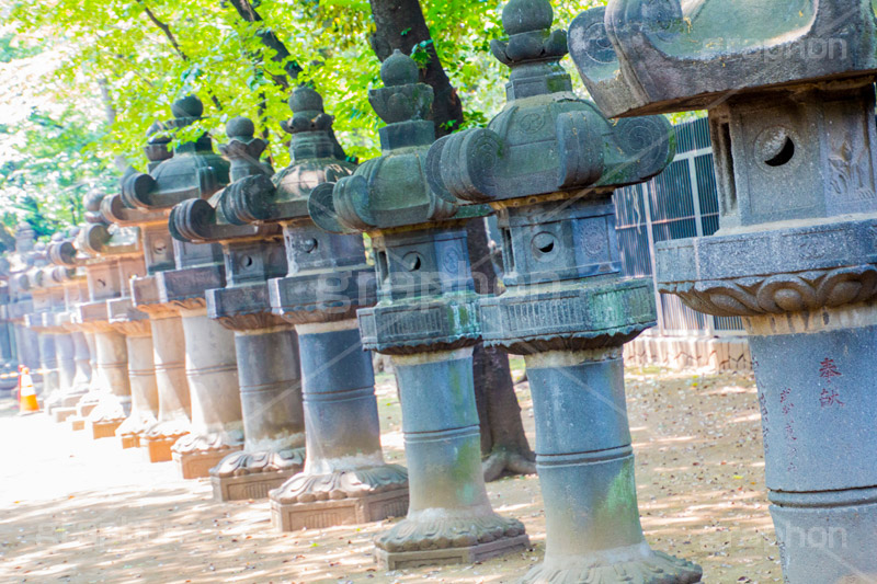 上野東照宮,うえのとうしょうぐう,台東区,上野恩賜公園,上野公園,神社,参拝,お参り,東照宮,文化財,japan,灯籠