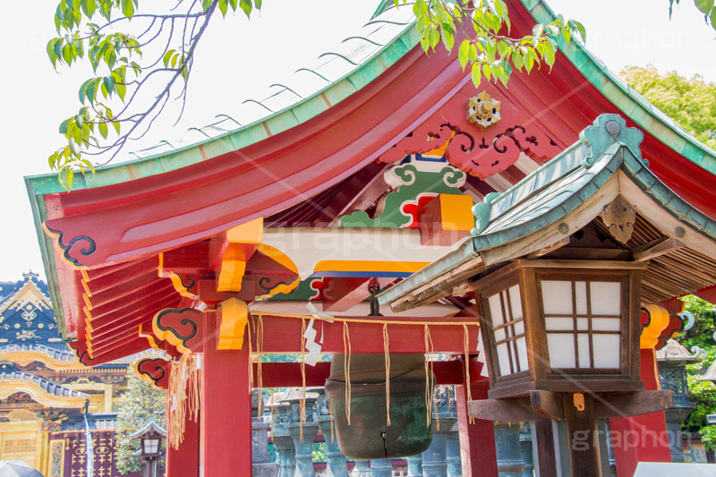 上野東照宮,うえのとうしょうぐう,台東区,上野恩賜公園,上野公園,神社,参拝,お参り,東照宮,文化財,japan