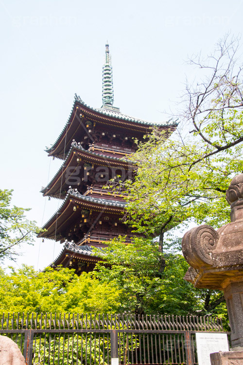 上野東照宮,うえのとうしょうぐう,台東区,上野恩賜公園,上野公園,神社,参拝,お参り,東照宮,文化財,japan,五重塔,五重の塔,塔