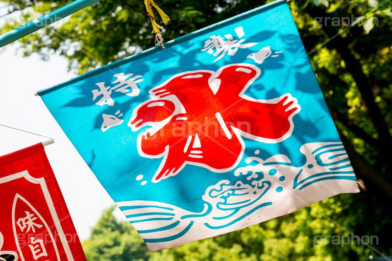 氷,かき氷,カキ氷,旗,夏,涼,清凉,夏休み,ひんやり,冷,風物詩,夏祭り,屋台,露店,出店,祭り,まつり,季節感,縁日,なびく,summer,japan