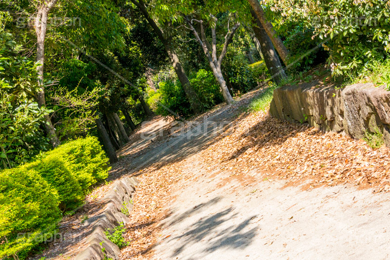 夢の島公園,公園,夢の島,人工島,東京湾,江東区,埋立地,埋め立て,park,olympic,自然,散歩,オリンピック,新木場,自然,草木