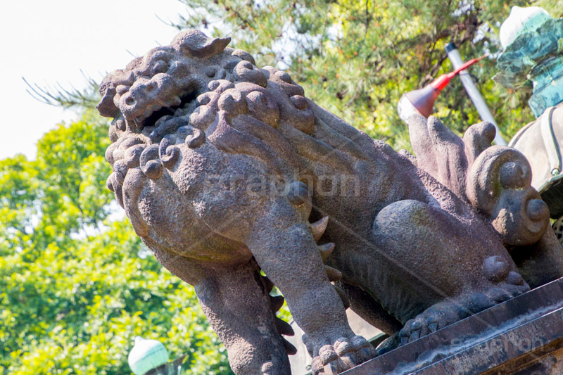 狛犬,獅子,犬,石像,像,神社,参拝,お参り,守る,守護,japan,shrine