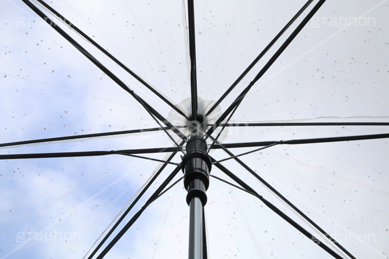 雨,あめ,梅雨,つゆ,水滴,雨粒,小雨,rain,レイン,雨上がり,ビニ傘,傘,かさ,使い捨て
