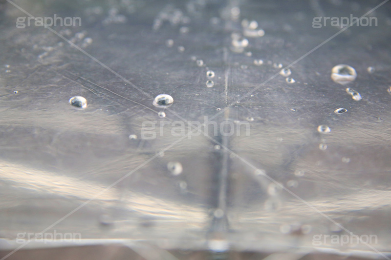 雨,あめ,梅雨,つゆ,水滴,雨粒,小雨,rain,レイン,ビニ傘,傘,かさ,使い捨て