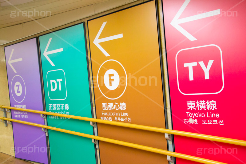 路線の坩堝,路線,坩堝,るつぼ,半蔵門線,地下鉄,電車,train,電車/鉄道,標示,看板,メトロ,東横線,副都心線,田園都市線,渋谷