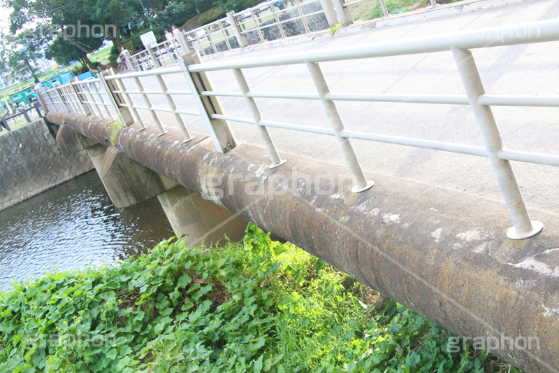 多摩川河川敷,河川敷,二子玉,二子玉川,玉川,にこたま,ニコタマ,世田谷区,河原,かわ,橋,河川,水面,多摩川,橋
